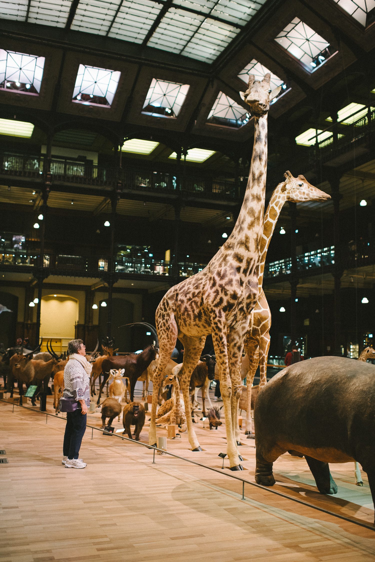 Naturkundemuseum Paris